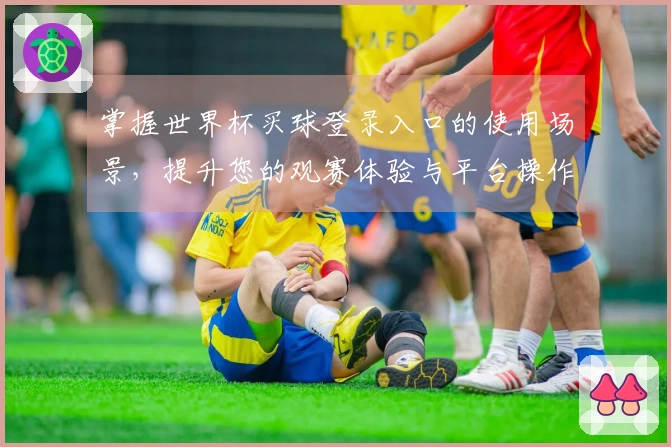 掌握世界杯买球登录入口的使用场景，提升您的观赛体验与平台操作技巧