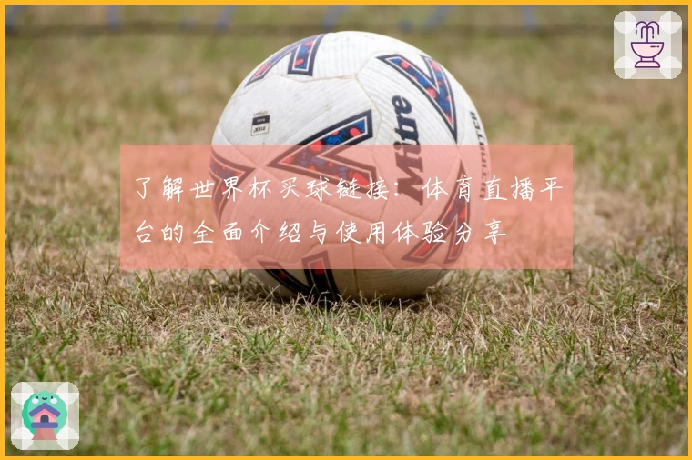 了解世界杯买球链接：体育直播平台的全面介绍与使用体验分享