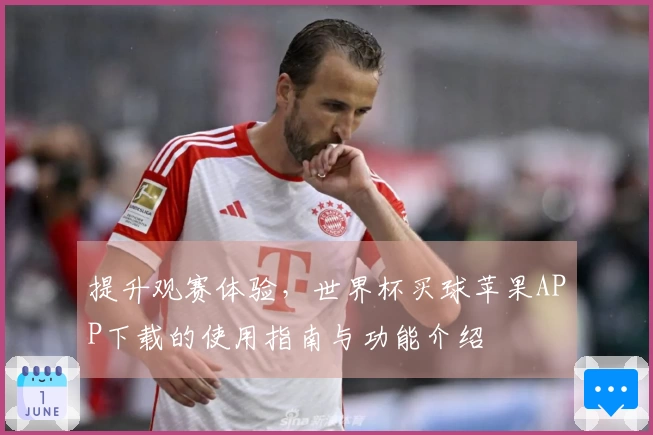 提升观赛体验，世界杯买球苹果APP下载的使用指南与功能介绍
