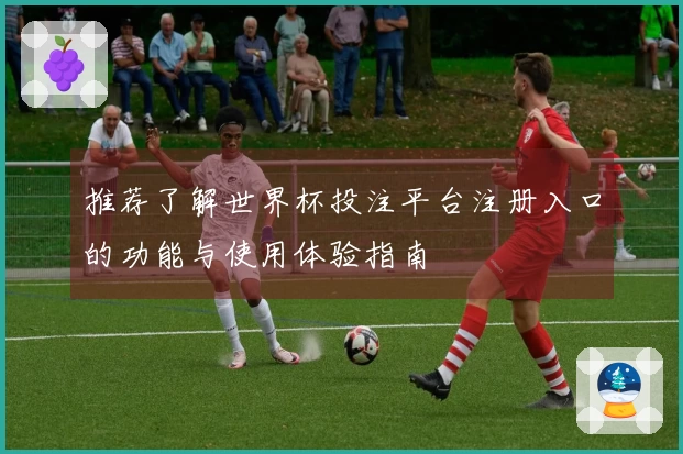 推荐了解世界杯投注平台注册入口的功能与使用体验指南
