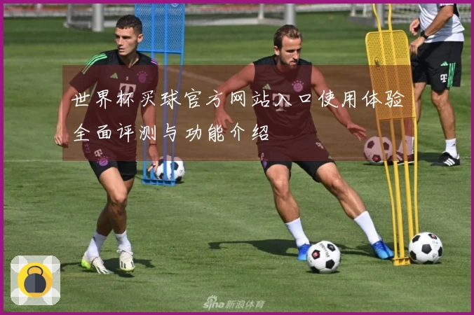 世界杯买球官方网站入口使用体验全面评测与功能介绍
