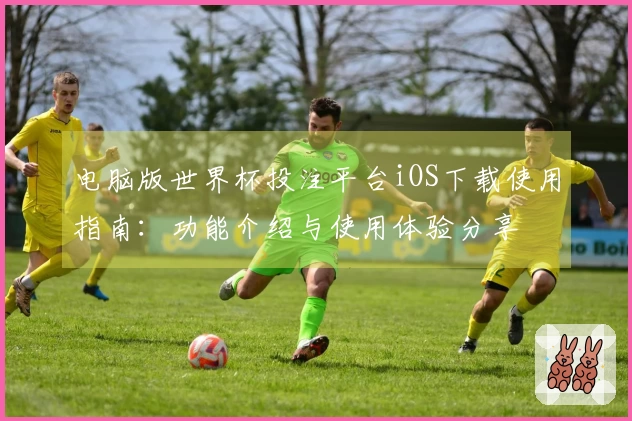 电脑版世界杯投注平台iOS下载使用指南：功能介绍与使用体验分享